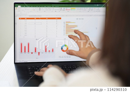 パソコンでグラフを制作する社員 114290310