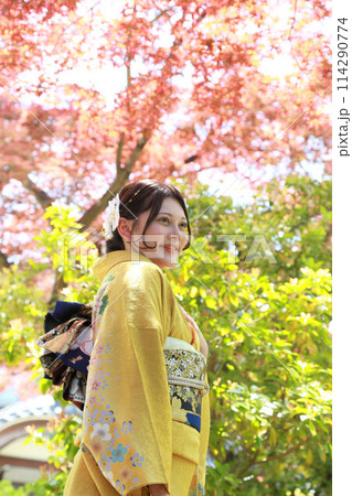 イエロー系柄の振袖を着た成人女性、成人振袖和装ロケーション撮影、成人式 114290774