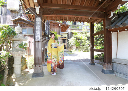 イエロー系柄の振袖を着た成人女性、成人振袖和装ロケーション撮影、成人式 114290805
