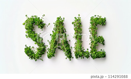 The word Sale created in Thyme Typography. 114291088