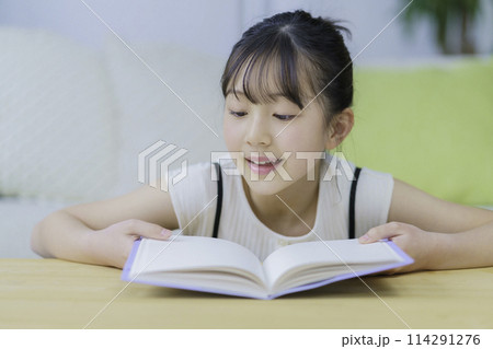 読書をする小学生の女の子 読書をする小学生の女の子 114291276