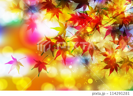 紅葉　葉　秋　背景	 114291281