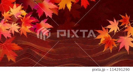 紅葉　葉　秋　背景	 114291290