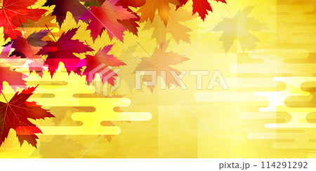 紅葉　葉　秋　背景	 114291292