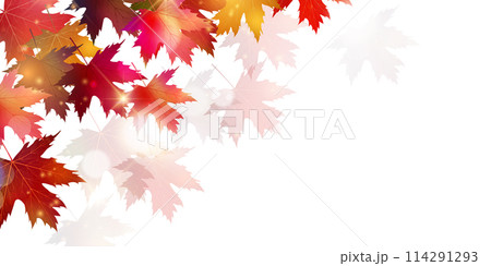 紅葉　葉　秋　背景	 114291293