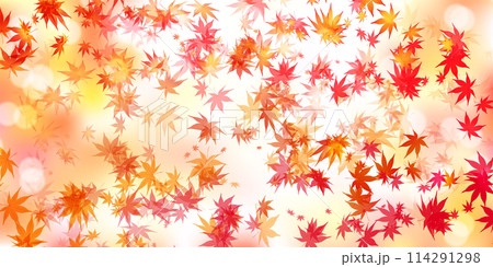 紅葉　葉　秋　背景	 114291298
