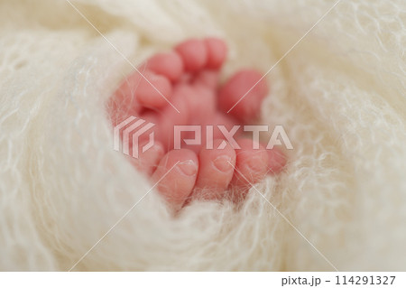 The tiny foot of a newborn baby. Soft feet of a new born in a wool white blanket. Close up of toes, heels and feet of a newborn. Macro photography. The tiny foot of a newborn baby. Soft feet of a new born in a wool white blanket. Close up of toes, heels and feet of a newborn. Macro photography. 114291327