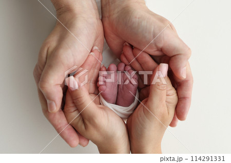 The palms of the father, the mother are holding the foot of the newborn baby in a white blanket. Feet of the newborn on the palms of the parents. Studio macro photo of a child's toes, heels and feet The palms of the father, the mother are holding the foot of the newborn baby in a white blanket. Feet of the newborn on the palms of the parents. Studio macro photo of a child's toes, heels and feet 114291331
