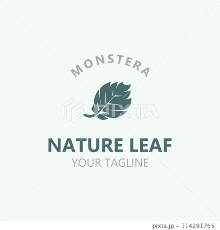 Monstera deliciosa leaf nature logo design, flat plant icon design illustration template 114291765