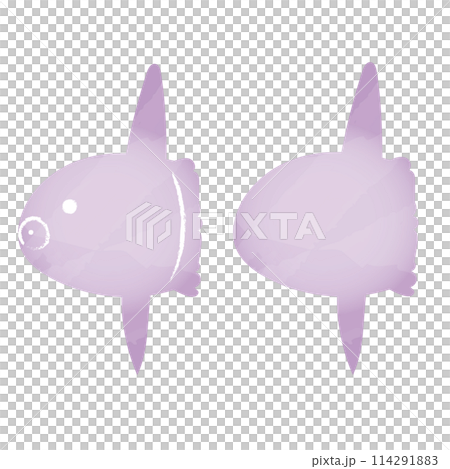 水彩風マンボウ 114291883