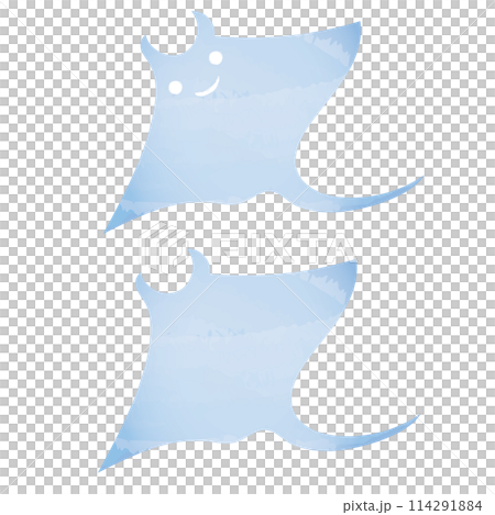 水彩風マンタ 114291884