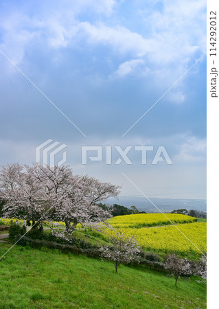 白木峰高原 白木峰高原 114292012