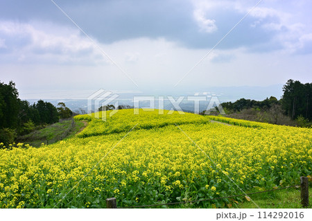 白木峰高原 白木峰高原 114292016