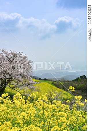 白木峰高原 白木峰高原 114292021