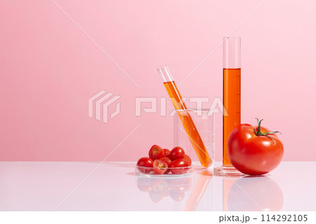 Pink background against a group of lab items, ripe tomato, cherry tomatoes and tomato extract. Creative template was taken from front view with copy space Pink background against a group of lab items, ripe tomato, cherry tomatoes and tomato extract. Creative template was taken from front view with copy space 114292105