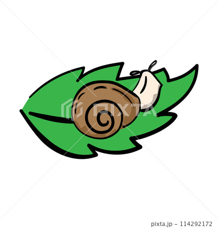 Snail on a green leaf in hand-drawn style, concept about a rainy season. Isolated vector illustration for print, digital and more design. Snail on a green leaf in hand-drawn style, concept about a rainy season. Isolated vector illustration for print, digital and more design. 114292172