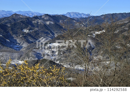長瀞町宝登山山頂の雪積もるロウバイ園と秩父の山々に両神山 長瀞町宝登山山頂の雪積もるロウバイ園と秩父の山々に両神山 114292588
