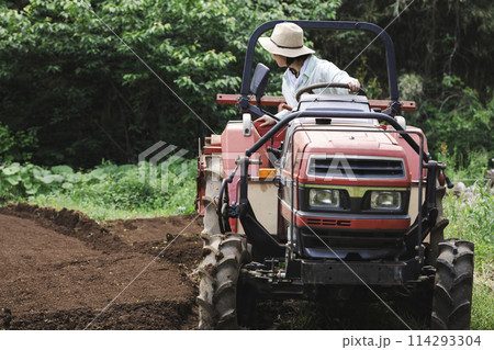 トラクターで畑を耕す女性 トラクターで畑を耕す女性 114293304