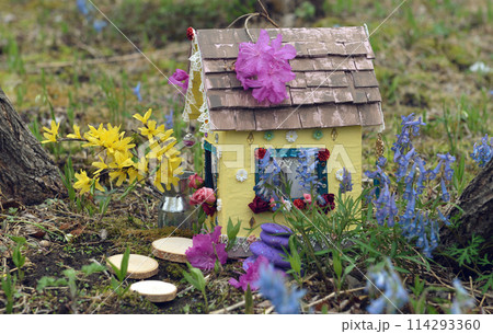 Cute fairy doll house with spring flowers outside in the garden. Lovely miniature for greeting cards, wedding or birthday concept, real estate, downsizing, home ownership. Vintage spring background 114293360