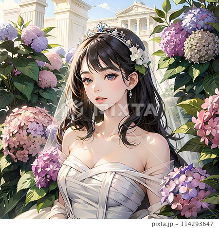 紫陽花と若い女性 114293647