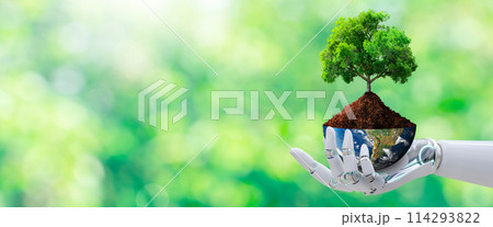 Robot Hand holding tree with half globe on Sunlight and Green grass background. Artificial Intelligence, World Environment, Eco, and Earth Day Concept. Elements furnished by NASA. 114293822