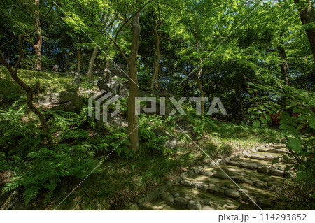 小石川後楽園 東京都文京区小石川 小石川後楽園 東京都文京区小石川 114293852