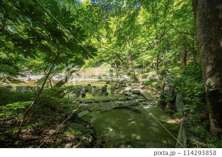 小石川後楽園 東京都文京区小石川 小石川後楽園 東京都文京区小石川 114293858