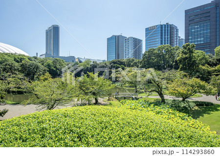 小石川後楽園 東京都文京区小石川 小石川後楽園 東京都文京区小石川 114293860