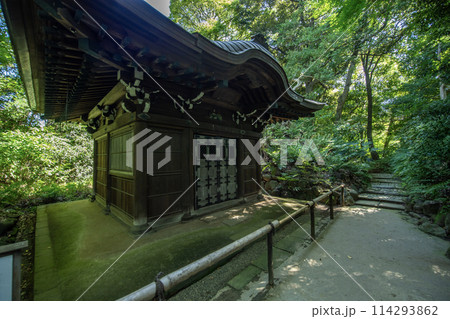 小石川後楽園 東京都文京区小石川 小石川後楽園 東京都文京区小石川 114293862