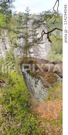 Beautiful summer view of Elbe river from Bastei view pont. Colorful morning scene of Saxon Switzerland national park, Germany, Europe. 114294048