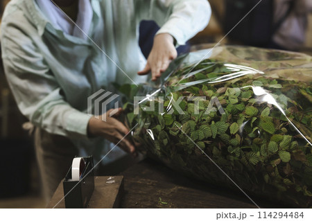 花の出荷作業をする女性 114294484