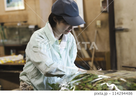 花の出荷作業をする女性 花の出荷作業をする女性 114294486