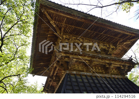 雨引観音　2023-9-3　＃52 114294516