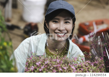 花の出荷作業をする女性 114294554