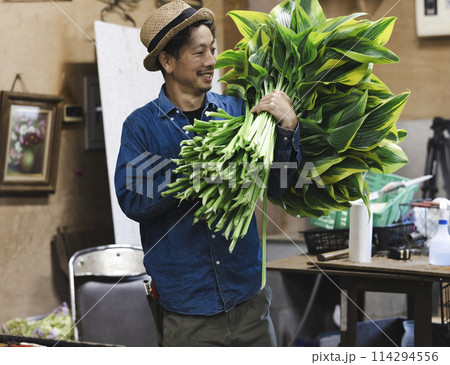植物の出荷作業をする花卉生産者 114294556