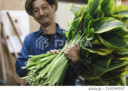 植物の出荷作業をする花卉生産者さん 植物の出荷作業をする花卉生産者さん 114294597