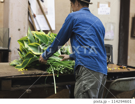 植物の出荷作業をする花卉生産者さん 114294601