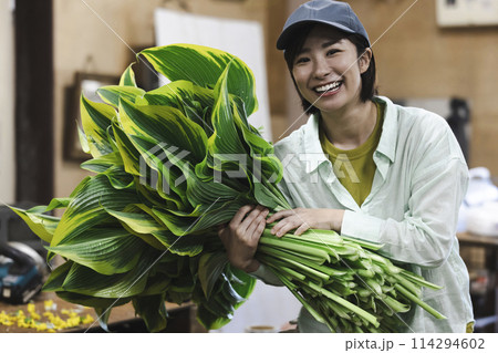 植物の出荷作業をする女性 植物の出荷作業をする女性 114294602