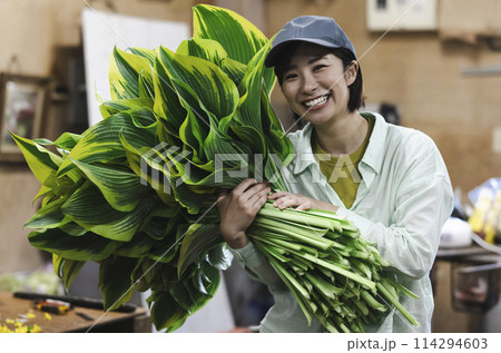 植物の出荷作業をする女性 植物の出荷作業をする女性 114294603