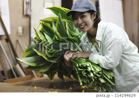 植物の出荷作業をする女性 114294629