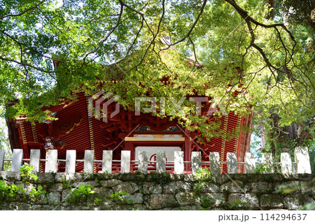 雨引観音 2023-9-3 #66 雨引観音 2023-9-3 #66 114294637