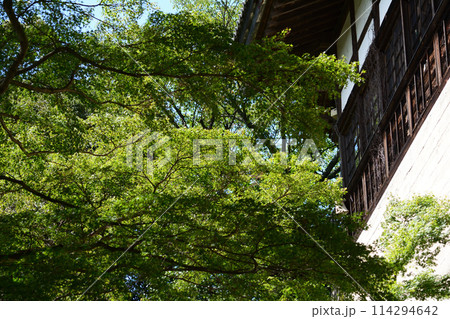 雨引観音　2023-9-3　＃70 114294642