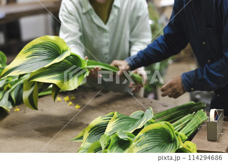 植物の出荷作業をする花卉生産者 植物の出荷作業をする花卉生産者 114294686