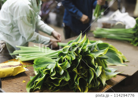 植物の出荷作業をする花卉生産者 植物の出荷作業をする花卉生産者 114294776