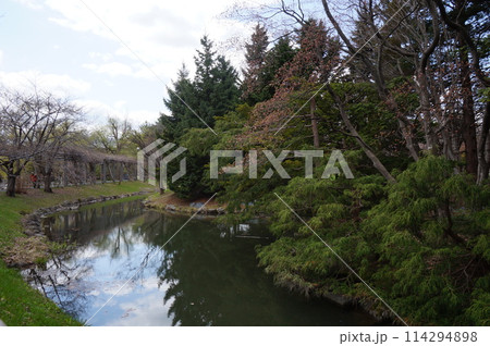 札幌市中島公園の小川 札幌市中島公園の小川 114294898