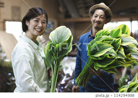 植物の出荷作業をする花卉生産者さん 114294986