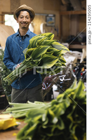 植物の出荷作業をする花卉生産者さん 植物の出荷作業をする花卉生産者さん 114295005