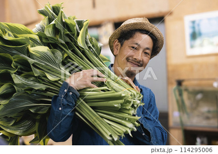 植物の出荷作業をする花卉生産者さん 114295006