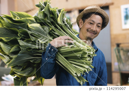 植物の出荷作業をする花卉生産者さん 114295007
