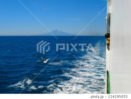 フェリー 礼文島~稚内(利尻島) フェリー 礼文島~稚内(利尻島) 114295055